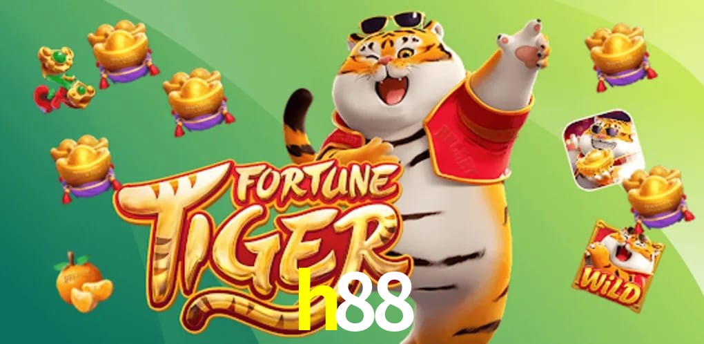 Experiência VIP h88